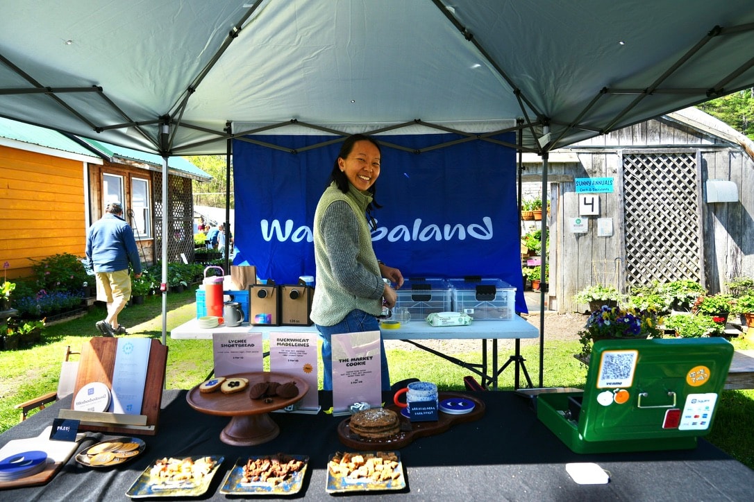 Photo of rows of books in a library with marble busts.